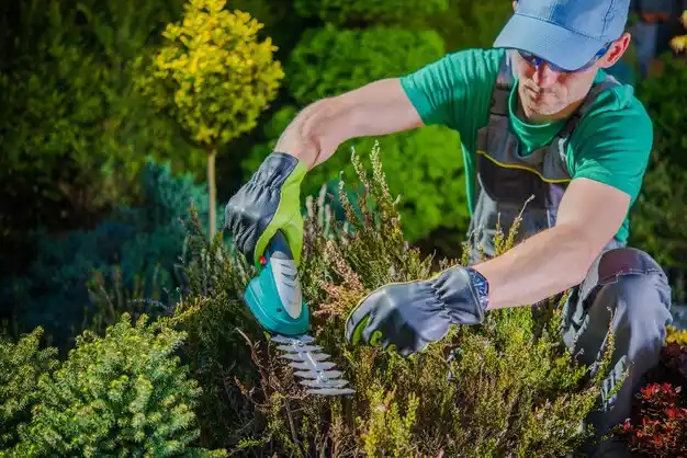 landscaping services Depew